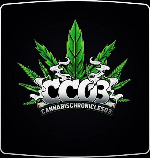 Custom logo design sample 6